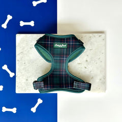 GRAMERCY GREEN - ADJUSTABLE HARNESS