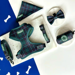 GRAMERCY GREEN - ADJUSTABLE HARNESS