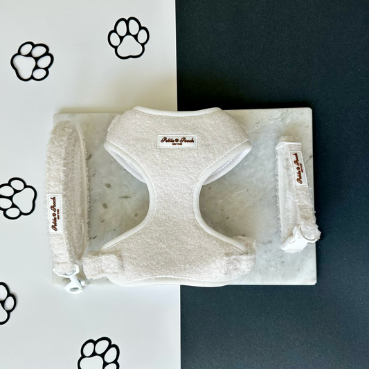 SNOWFALL IN CENTRAL PARK - BUNDLE