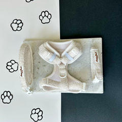 SNOWFALL IN CENTRAL PARK - BUNDLE