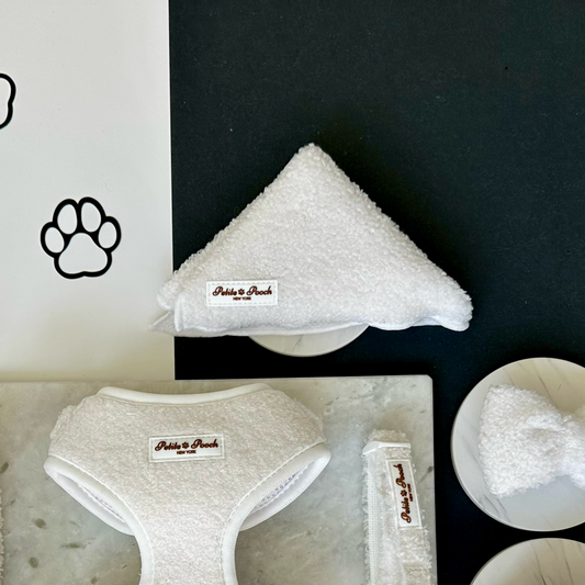 SNOWFALL IN CENTRAL PARK - BANDANA