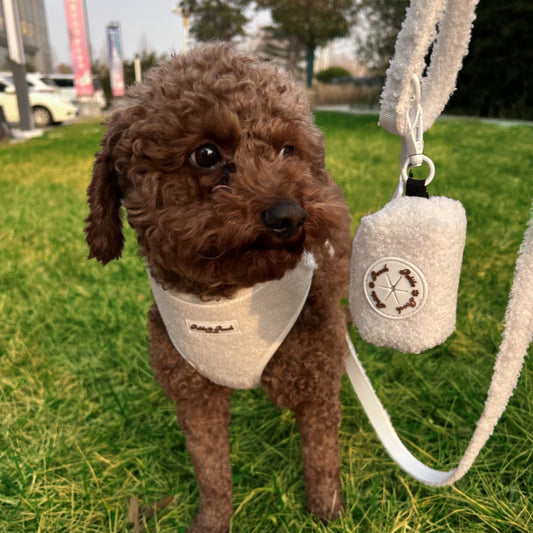 SNOWFALL IN CENTRAL PARK - POOP BAG HOLDER