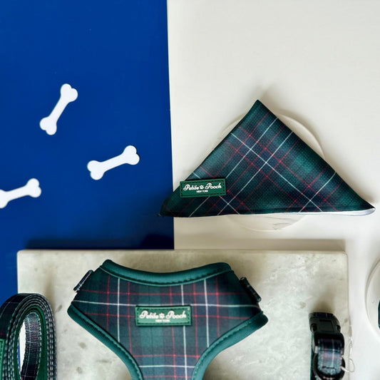 GRAMERCY GREEN - BANDANA