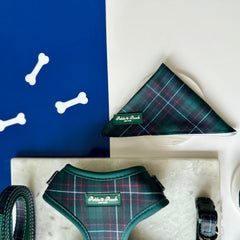 GRAMERCY GREEN - BANDANA