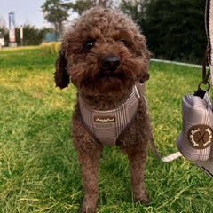 BROOKLYN BROWN - BUNDLE