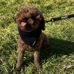 MIDNIGHT IN MANHATTAN - BANDANA