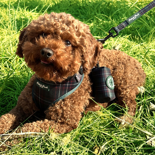 GRAMERCY GREEN - POOP BAG HOLDER