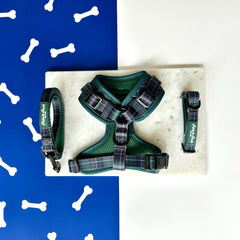 GRAMERCY GREEN - ADJUSTABLE HARNESS
