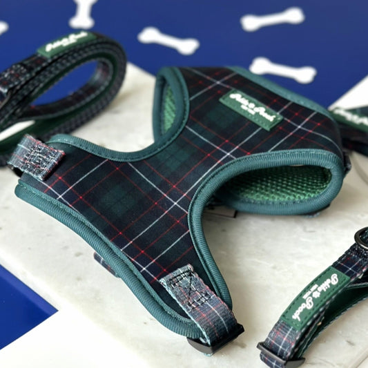 GRAMERCY GREEN - ADJUSTABLE HARNESS