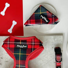 BROADWAY RED - BANDANA