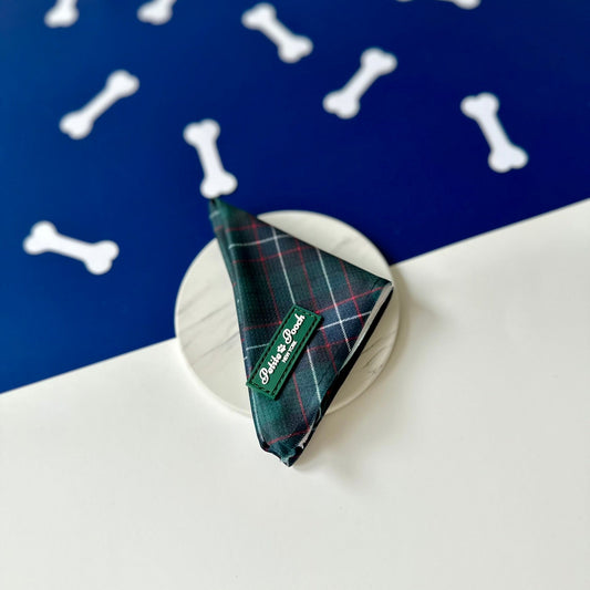 GRAMERCY GREEN - BANDANA